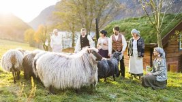 Norwegian sheep.jpg