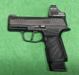 P365 & Optic.jpg