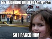 Paged.jpg