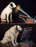Victor dogs.jpg