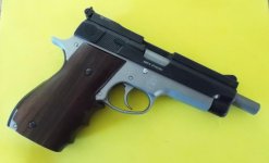 Frankennine Redux R.jpg