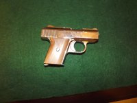 Raven 25 Auto (4).jpg