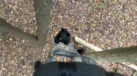 IMG_6126.jpeg