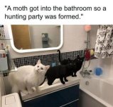 MOTH.jpg