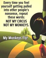 monkeys fly.jpg