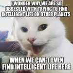 intelligent life.jpg