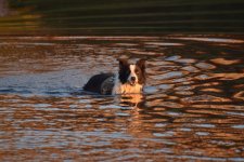 2024-10-06 Daisy.jpg