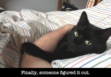 re Science & cats.JPG