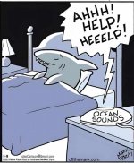 Shark dreams.JPG