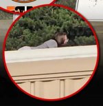 2024 07 13 trump assassin (3).jpg