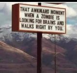 ZOMBIE.jpg