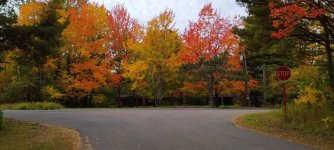 Front Yard.jpg