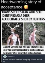 SHOT.jpg