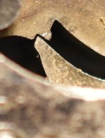 AtRestCloseUp.jpg