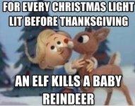 EarlyXmasLights.jpg