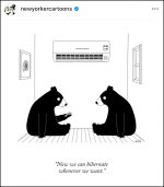 Heat pump hibernation.jpg