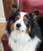 IMG_7104.jpg