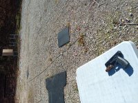 IMG_20241102_120341.jpg