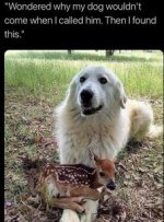 AWWW.jpg