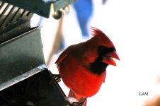 IMG_5886.jpg