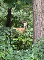 IMG_0724.jpg