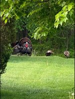 IMG_0725.jpg