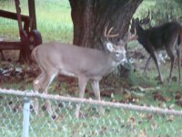 DSC08657.JPG