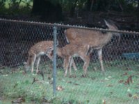 DSC08647.JPG