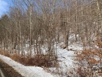Alma Pond terrain.jpg