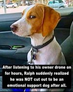 emotional support dog.jpg