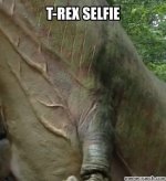 Image 1.jpeg