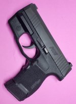 P365Micro1C.jpg