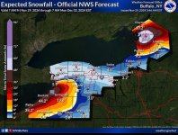 Snow.jpg