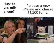 karen sheep.jpg