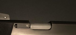 IMG_0050.jpg