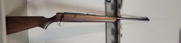 Savage 22 Hornet.jpg