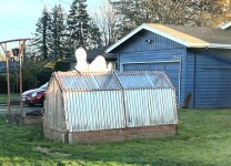 Snoopy on greenhouse.jpg