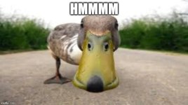 hmmmmm.jpg