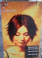 hairbymonkeys.jpg
