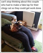Fake lap.jpg