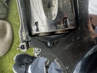 IMG_4882.jpg