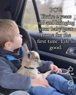 Bringing home the baby goat.jpg