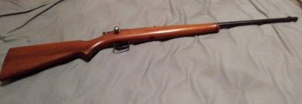 BRNO Garden Gun 22 LR.jpg