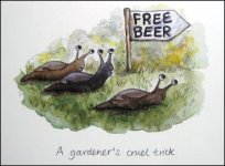 Free beer.JPG