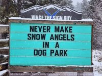 snow angels dog park.jpg
