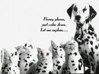 DALMATIO.JPG
