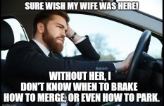 Silly-stuff-backseat-driver.jpg
