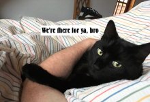Smudge support.JPG