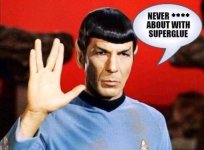 Spock on superglue copy.JPG
