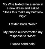 moo.jpg